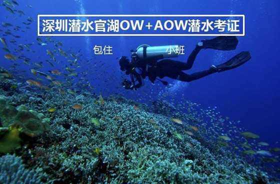 公证处在哪里_查找本地公证处